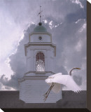 Steeple Flyby