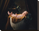 Pot Belly