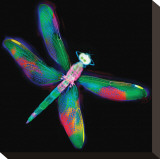 Dragonfly IV