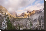 Winter Afternoon in Yosemite