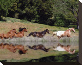 Running Free