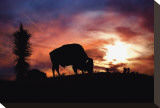 American West