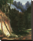 Forest Gorge with Deers
