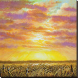 Marsh Path