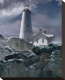 Wintry Hope II