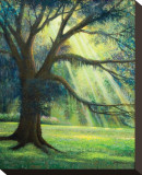 Sunlit Garden