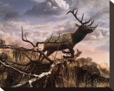 Elk Passage