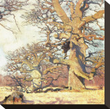 Oaks