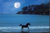 Moonlight Run