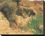Ancient Source in Syria