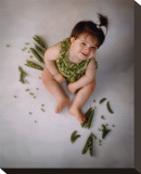 Sweet Pea