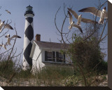 Cape Lookout I