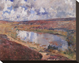 Pond in the Heath
