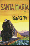 Santa Maria Brand California Vegetables