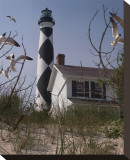Cape Lookout II