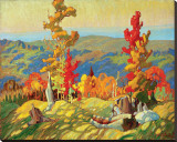 Autumn in the Northland