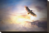 Freebird