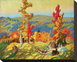 Autumn in the Northland