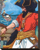 Genuine Pirates  The Boys Book of Pirates