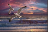 Great Awakening