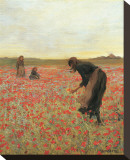 Girls in Poppy Field