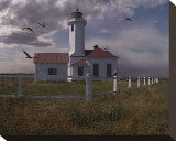 Point Wilson