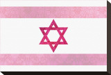 Pretty Pink Shield of David