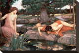 Echo and Narcissus