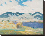 Haytime Near Knowlton