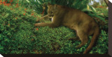 Panther Pause