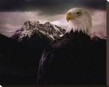 Eagle Mountain