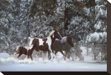 Snowy Runners