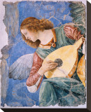 Angelo Musicante