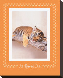 All Tiger-Ed Out