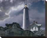 Wintry Hope I