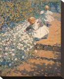 Picking Flowers