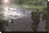 Magic Swan