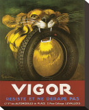 Vigor  Resiste Et Ne Derape Pas