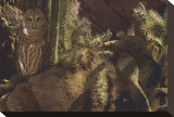 Prickly Pair
