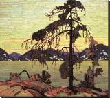 The Jack Pine