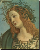 Minerva (detail)