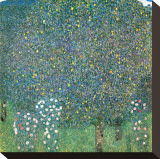Rosiers sous les Arbres  c1905