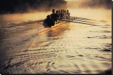 Team Rowing Down the River
