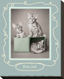 Box Set