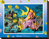 Water Babies  Yellow Fish