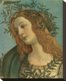 Minerva (detail)