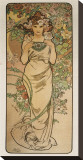The Flowers: La Rose