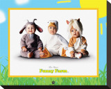 Funy Farm II
