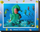 Water Babies  Seahorse