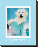 Bucket Vogue